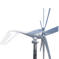 1kW Mini Generador de turbinas eólicas horizontales para el hogar